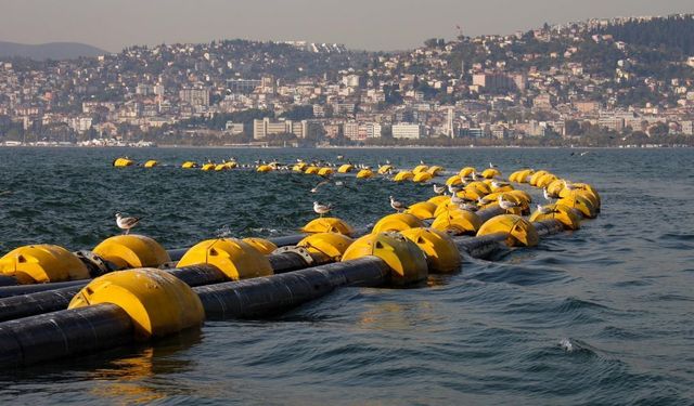 Çamur gidiyor, yeni canlılar geliyor