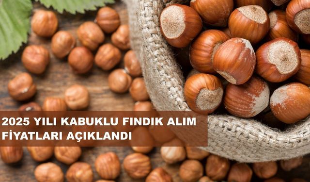 Fındık Taban Fiyatı Açıklandı; Fiyat 195 Lira...