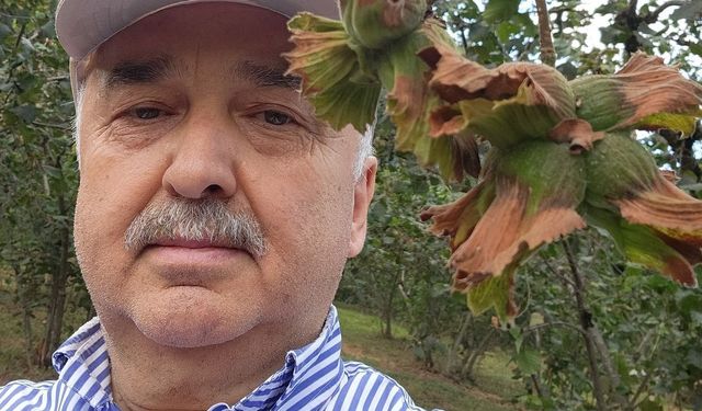 Giresun Milletvekili Ali Temür: Fındık emanet vermeyin