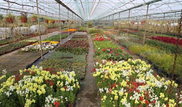 Kadın eliyle büyüyen üretim 23 Milyon TL’lik tasarruf getirdi