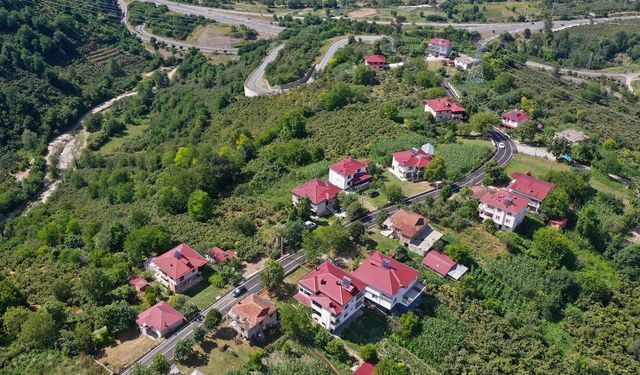 Ordu'da asfalt seferberliği devam ediyor