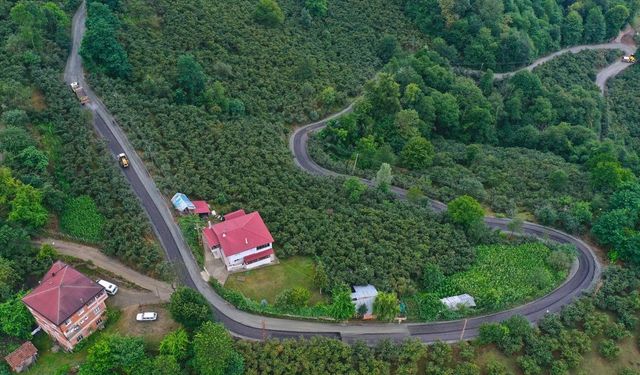 Ordu'nun 223 noktasında çalışmalar sürüyor