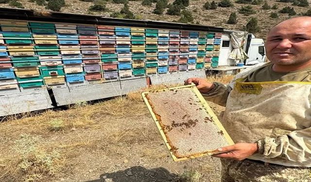 Toroslar’da gezici bal tırıyla doğal bal üretimi