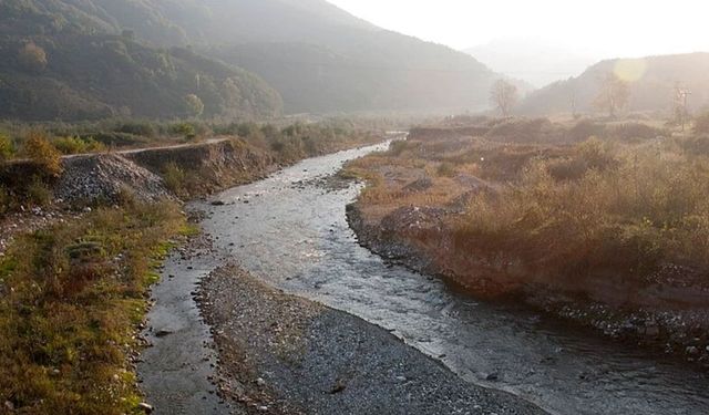 TZOB: Su kirliliği 75 ilde yaşamı tedhit ediyor