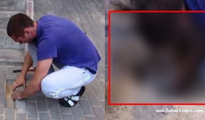 İki gün önce tamamlanan çalışmadan sonra tekrar yapılan kaldırımın altından gelen sesleri duyan adam taşları kaldırınca öyle bir şeyle karşılaştı ki!