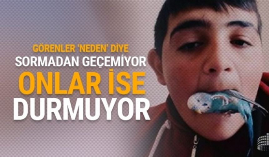 Bir türlü durmuyorlar zalımlar her garip olaya imzalarını atıyorlar