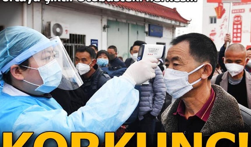 Son dakika... Çin&#039;de bu kez Hanta virüs paniği
