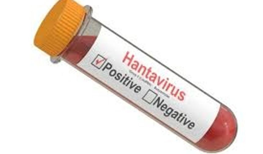 Çin hükümetine yakınlığıyla bilinen Global Times&#039;ın haberine göre Yunnan&#039;dan Shandong&#039;a otobüsle dönen bir kişi hayatını kaybetti. Yapılan testler sonucu hayatını kaybeden kişide hanta virüs pozitif çıktı.