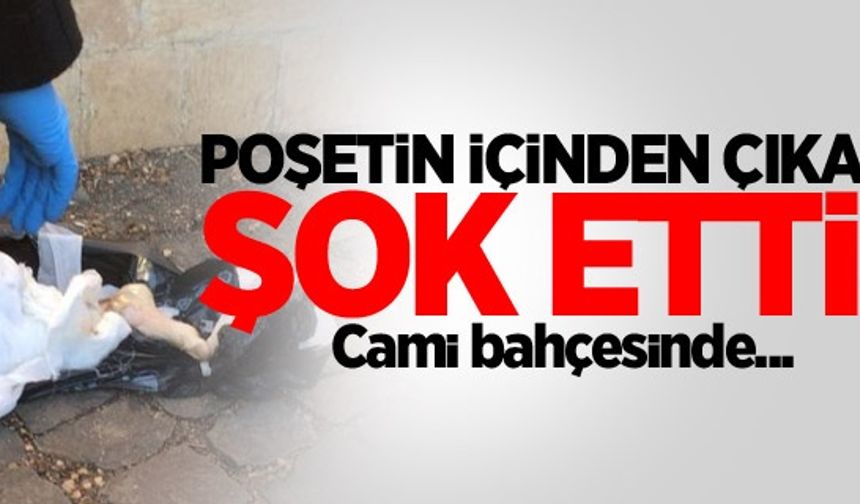 Şanlıurfa’da bir cami bahçesinde siyah poşetin içerisinde insana ait olduğu belirlenen kesik bacak bulundu.