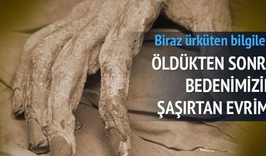 İnsan öldükten sonra vücudu ne gibi aşamalardan geçiyor? İşte biraz ürkütücü biraz da &#039;rahatsız edici&#039; o bilgiler…