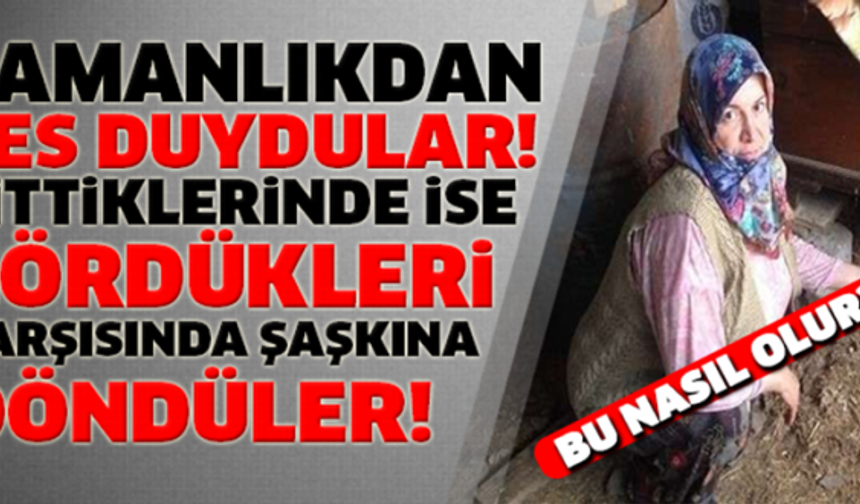 SAMANLIKTAN GELEN SES HAYATLARINI BİTİRDİ!