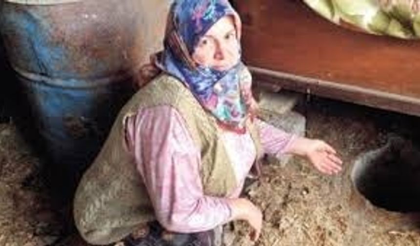 Bursa’da evin bahçesindeki samanlığa saklanan 100 bin liralık altını hırsızlar çaldı. Merkez Nilüfer ilçesine bağlı Alaattinbey Mahallesi’nde ikamet eden Fatma Erdoğan (47), evinin bahçesinde bulunan samanlığa sakladıkları değeri 100 bin lirayı bulan altınlar hırsızlar tarafından çalındığını söyledi. Samanlıkta “kuyu” şeklinde altınları koymak için yer yaptıklarını dile getiren Fatma Erdoğan, “Samanlığımızda bu yeri kazdık ve içine beton attık. İçinde büyük bakır koyduk.