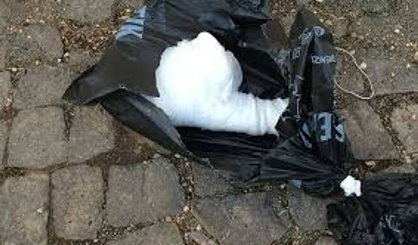 Olay yerine giden polis ekipleri çevrede inceleme yaptı. Ekipler, bacağın kime ait olduğunu, poşetin kim ya da kimler tarafından bırakıldığını araştırmaya başladı.