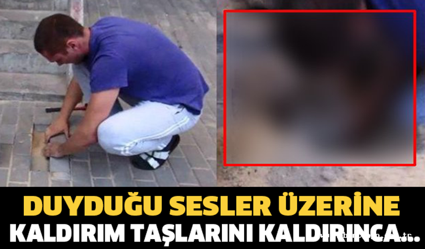 Duyduğu Sesler Üzerine Kaldırım Taşlarını Kaldırınca Bakın Neyle Karşılaştı!