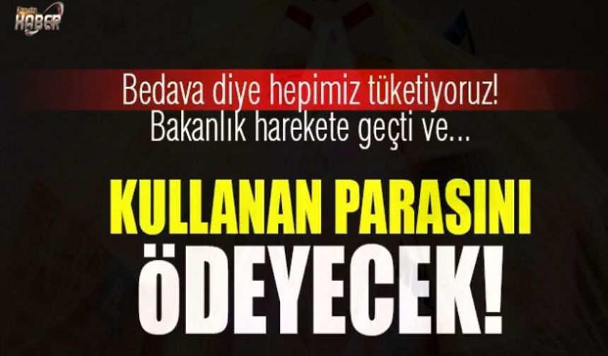 Son dakika: Resmi Gazete&#039;de yayımlandı! Artık ücretli olacak...