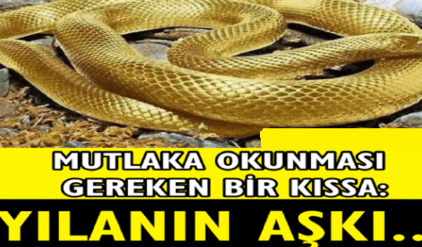 Örümcek ne havada, Ne suda, ne yerdeydi… Hakk’ı göremeyen Gözlerdeydi! Ancak bütün bunlar olurken, mağaranın içinde Hazret-i Ebû Bekir -radıyallâhu anh- nâzik anlar yaşamıştı. Korkmuştu; kendisi için değil, Allâh Rasûlü -sallâllâhu aleyhi ve sellem- Efendimiz için…

Zîrâ müşrikler azıcık eğilip baksalar, onları hemen görebileceklerdi. Onlar mağaranın sağını solunu dolaşıyor ve:

“–Eğer mağaraya girmiş olsalardı, güvercinlerin yumurtası kırılır, örümcek ağı da bozulurdu” diyorlardı.

Bâzıları: “−Mağaranın içine girip bakalım!” dedikleri zaman, Ümeyye bin Halef:

“−Sizin hiç aklınız yok mu? Mağarada ne işiniz var?! Üzerinde üst üste, kat kat örümcek ağı bulunan şu mağaraya mı gireceksiniz?! Vallâhi kanaatime göre şu örümcek ağı, Muhammed doğmadan öncesine âittir!” dedi.

Ebû Cehil ise: “−Vallâhi, öyle zannediyorum ki, O yakınımızdadır! Fakat sihri ile gözlerimizi bağladı, görmez etti!” dedi.

Bu esnâda endişeye kapılan Hazret-i Ebû Bekir Sıddîk, Rasûlullâh -sallâllâhu aleyhi ve sellem-’e hitâben: “–Ben öldürülürsem, nihâyet bir tek kişiyim, ölür giderim. Fakat Sana bir şey olursa, o zaman bir ümmet helâk olur.” diyordu.

Peygamberimiz ayakta namaz kılıyor, Hazret-i Ebû Bekir de gözcülük yapıyordu. Efendimiz’e: “–Şu kavmin Sen’i arayıp duruyorlar. Vallâhi ben kendim için endişelenmiyorum. Fakat sana zarar vermelerinden korkuyorum.” dedi.

Rasûl-i Ekrem Efendimiz Yâr-ı Gâr’ına: “–Ey Ebû Bekir, korkma! Hiç şüphesiz Allâh bizimledir!” buyurdu. (İbn-i Kesîr, el-Bidâye, III, 223-224; Diyarbekrî, I, 328-329)

Kur’ân-ı Kerîm’de bu hâdise şöyle anlatılmaktadır:

اِلاَّ تَنْصُرُوهُ فَقَدْ نَصَرَهُ اللهُ اِذْ اَخْرَجَهُ الَّذِينَ كَفَرُوا ثَانِىَ اثْنَيْنِ اِذْ هُمَا فِى الْغَارِ اِذْ يَقُولُ لِصَاحِبِهِ لاَ تَحْزَنْ اِنَّ اللهَ مَعَنَا فَاَنْزَلَ اللهُ سَكِينَتَهُ عَلَيْهِ وَاَيَّدَهُ بِجُنُودٍ لَمْ تَرَوْهَا وَجَعَلَ كَلِمَةَ الَّذِينَ كَفَرُوا السُّفْلَى وَكَلِمَةُ اللهِ هِىَ الْعُلْيَا وَاللهُ عَزِيزٌ حَكِيمٌ