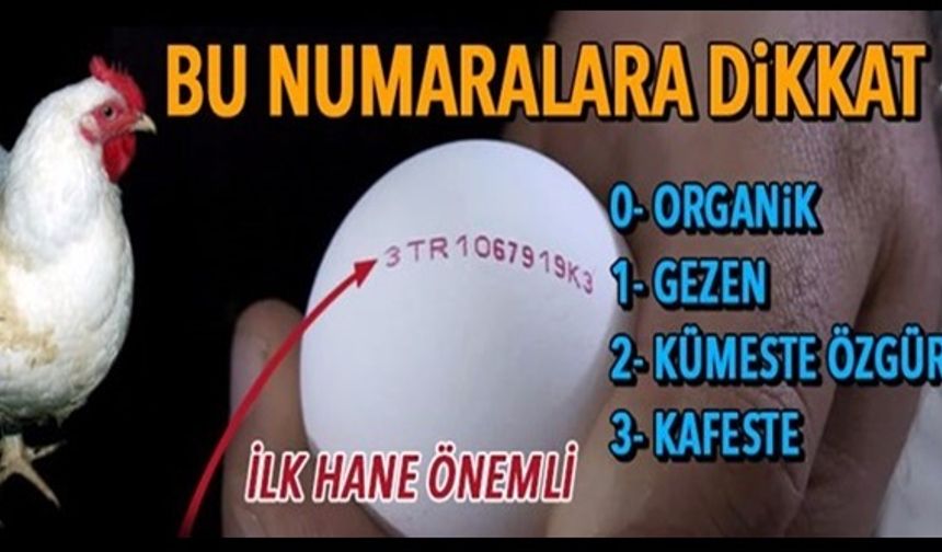 Yumurtalarda yapılan türlü hilelere son vermek için artık kodlama sistemi geldi. Peki, ne işe yarıyor bu kodlama? Yumurtanın üzerinde yer alan numaralar ne anlama geliyor? Tüm bu soruların cevabını birazdan öğreneceksiniz.