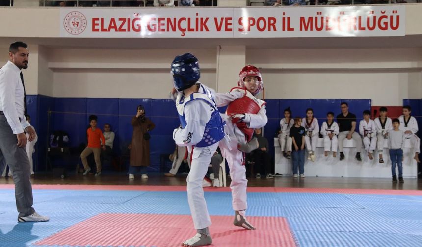 Elazığ’da 2 branşta final düdüğü çaldı