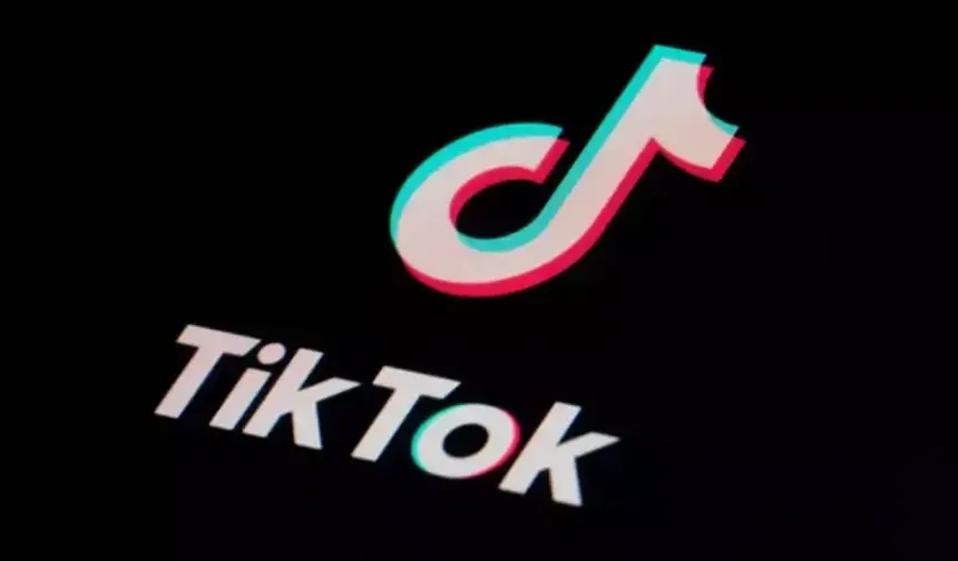 TikTok Arnavutluk'ta erişime kapatıldı