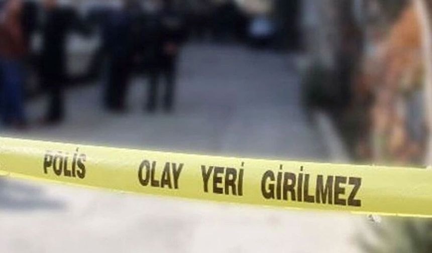 Ankara’da evindeki yavru köpekleri katleden doktor tutuklandı