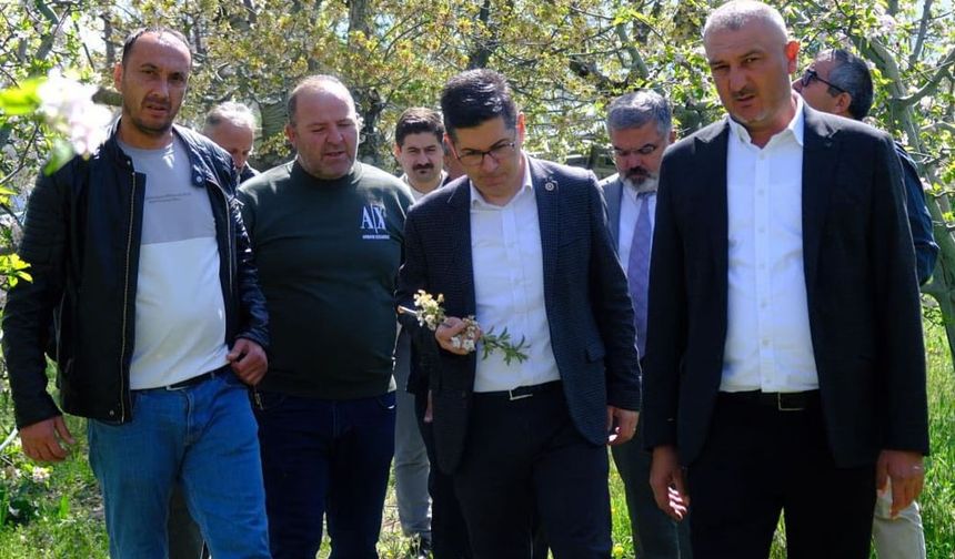 CHP heyeti zirai don felaketi sonrası Isparta'yı ziyaret etti
