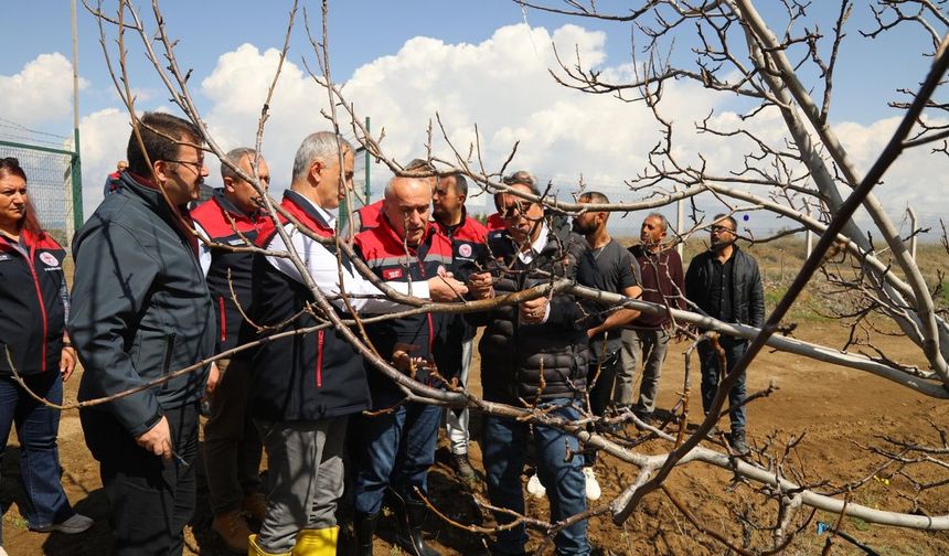 Kırıkkale’de don zararı sahada incelendi