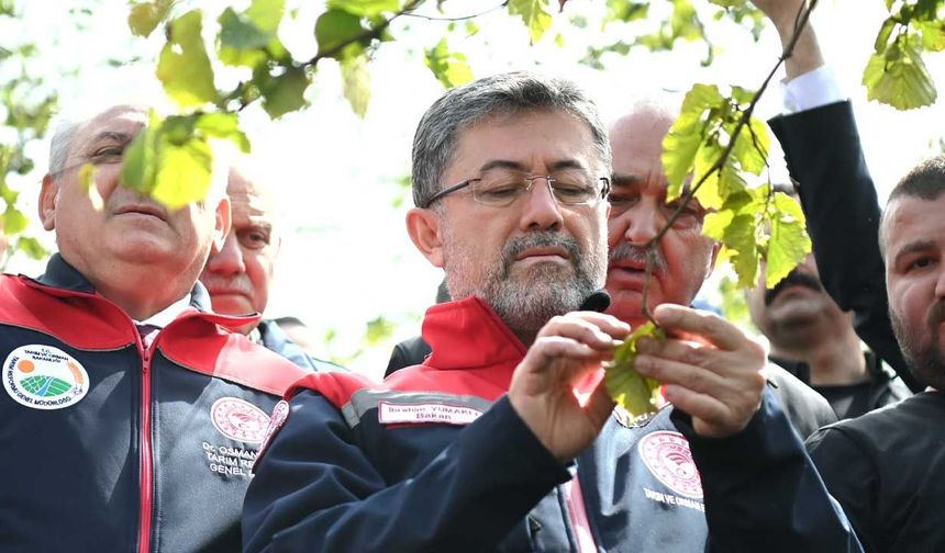 Tarım Bakanı Yumaklı: Zirai don sebebiyle stratejik ürünlerde sıkıntı yok