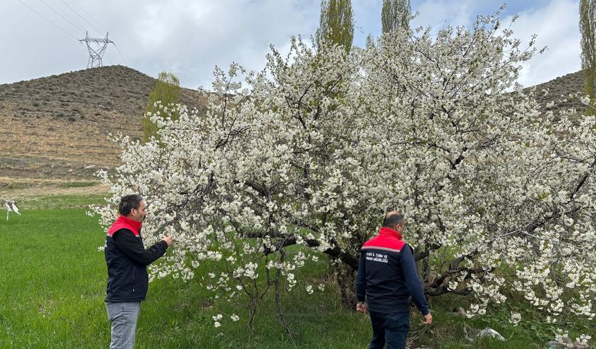 Zirai Don Tehlikesine karşı çiftçileri uyarı