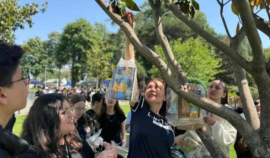 Bursa'da ağaçlar 'kitap' açtı!