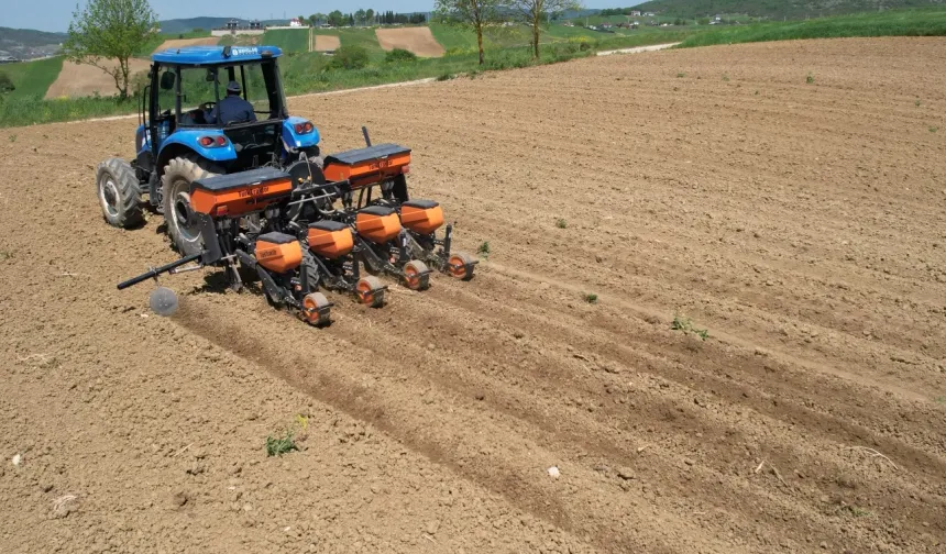 Kocaeli Büyükşehir'in desteğiyle ekim mesaisi başladı