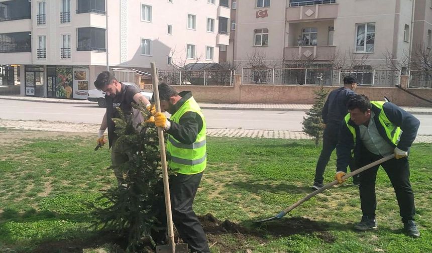 Bayburt Belediyesinden bahar mesaisi
