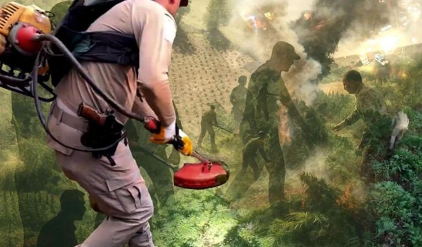 Diyarbakır’da operasyon: 70 ton toz esrara eşdeğer kenevir ele geçirildi