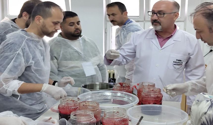 ISUBÜ Uygulamalı Tıbbi Sülük Yetiştiriciliği Eğitimi’ne yoğun ilgi