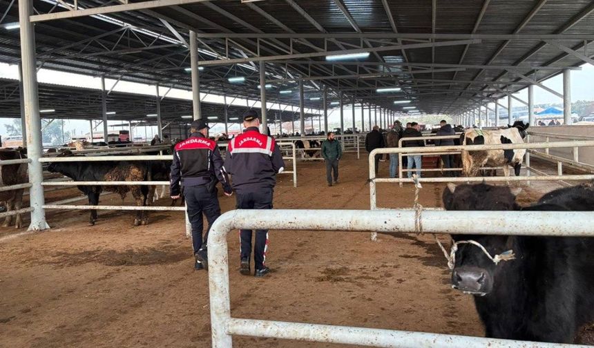 Jandarma besicileri uyardı! Ahır çevresinde köpek bulundurun
