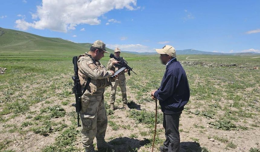 Kars'ta huzur ve güven uygulamasında 480 kök kenevir ele geçirildi