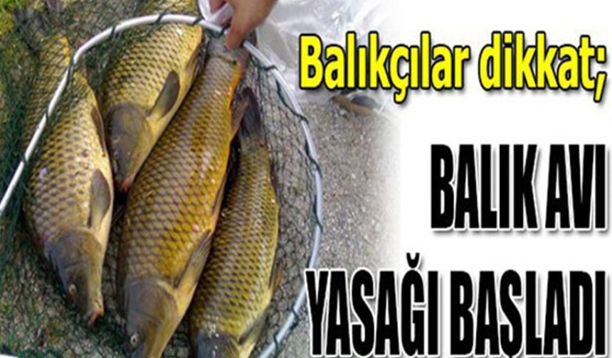 Kars'ta su ürünleri av yasağı başladı