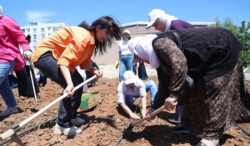 'Kent Kadın Bostanları' projesi Mardin Artuklu’da hayata geçti