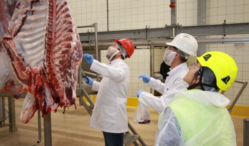 Kocaeli'de kurban kesim başvuruları 15 Mayıs’ta başlıyor