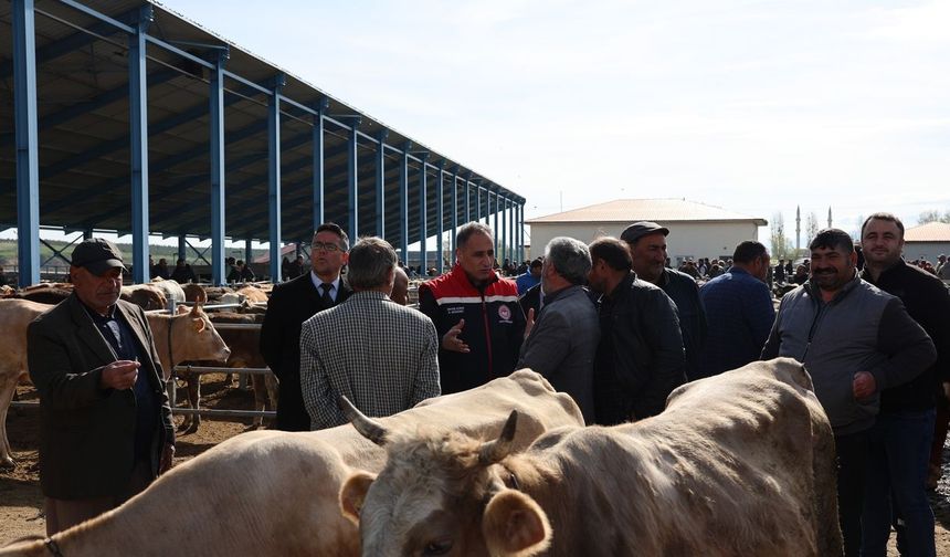 Kurban Bayramı öncesi Selim Hayvan Pazarı'nda denetim