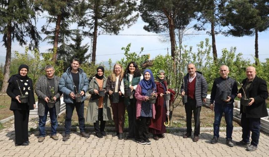 Ordu’nun meyve ağaçları profesyonel ellerde aşılanacak