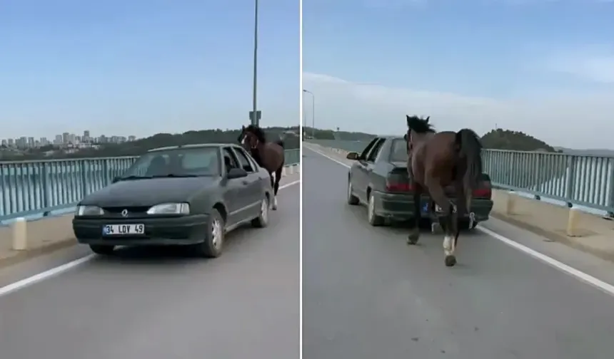 Otomobile bağladığı at ile ilerleyen 2 kişi gözaltına alındı