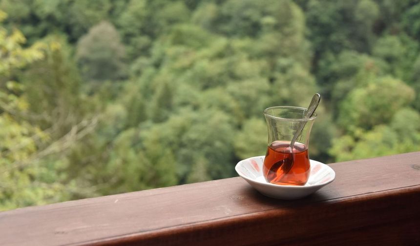 Rize'den 4 ayda 5,5 milyon dolarlık çay ihracatı