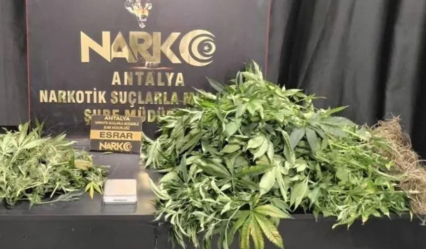 Antalya’da zehir tacirlerine darbe: 113 şüpheli gözaltında