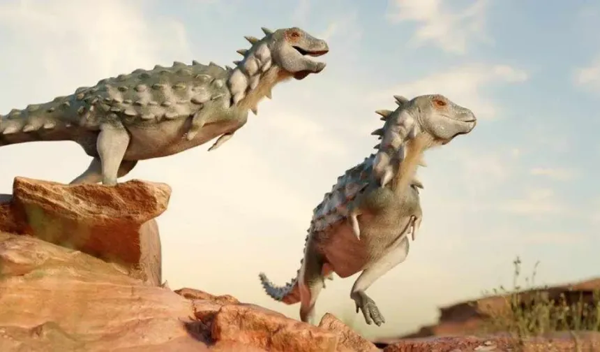 Dinozordan gelen şifa: Fosil tümörü umut oldu