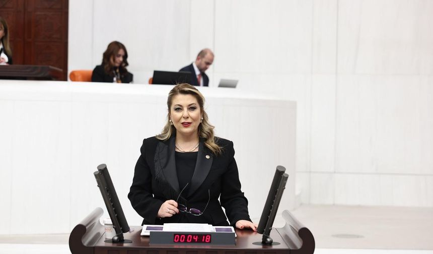 Elvan Işık Gezmiş: Kadın ölümleri neden araştırılmıyor?