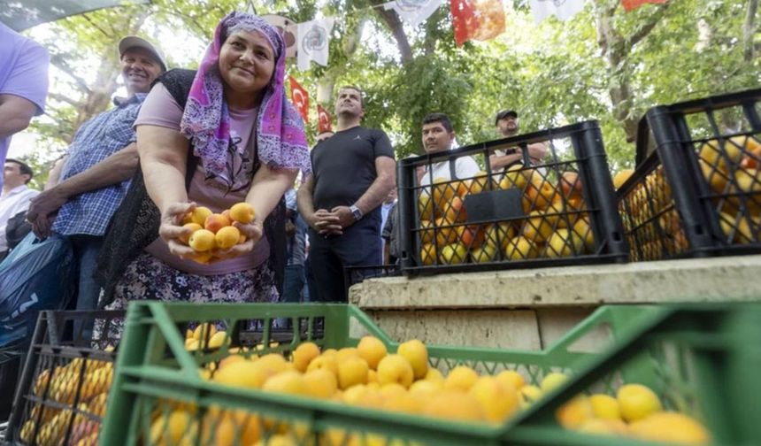 Kayısı Festivali'nde büyük coşku