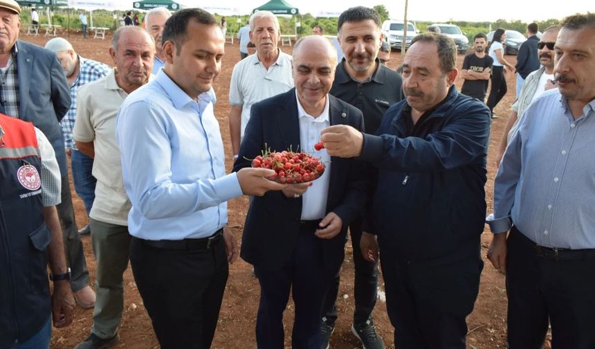 Mardin Ömerli'de doğa ve kültür buluştu