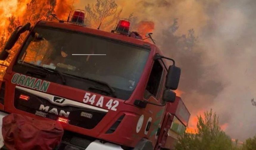 Ormanın Kahramanları’na yol verin