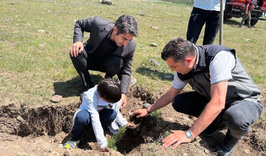 Sarıkamış’ta şehitler için dikilen fidanlar toprakla buluştu