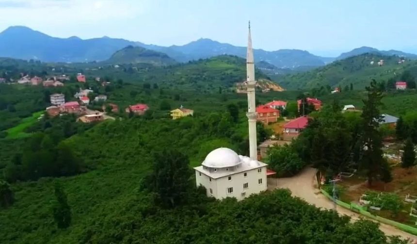 Tirebolu'da tarihi referandum: Abdullu Köyü kuruluyor!